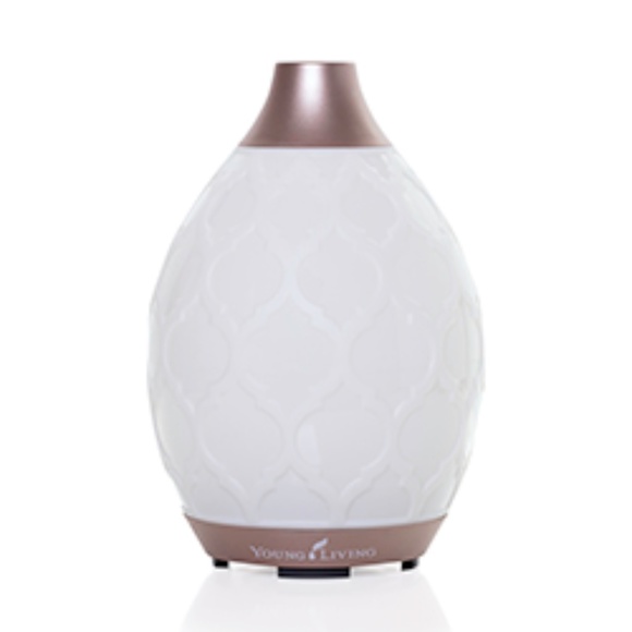 COPY - Desert Mist Diffuser - Picture 1 of 1